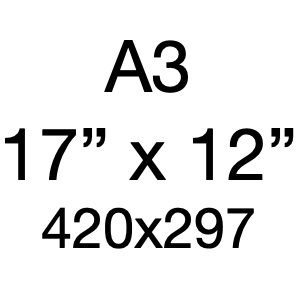 A3 ~ 17" x 12"