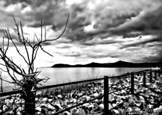 Foreboding Bay (b&w)